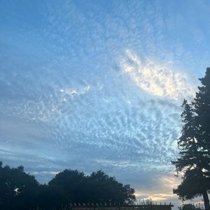 Meet your Posher, Judgemental